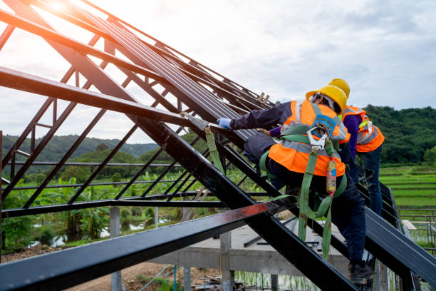 Best Local Roofing Companies  in Blooming Prairie, MN