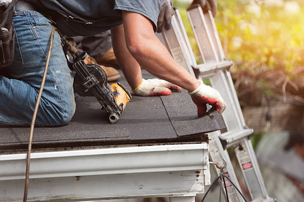 Best Roof Gutter Cleaning  in Blooming Prairie, MN